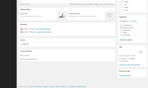 Workflow 2 on Word Press 11-07 by Ruben