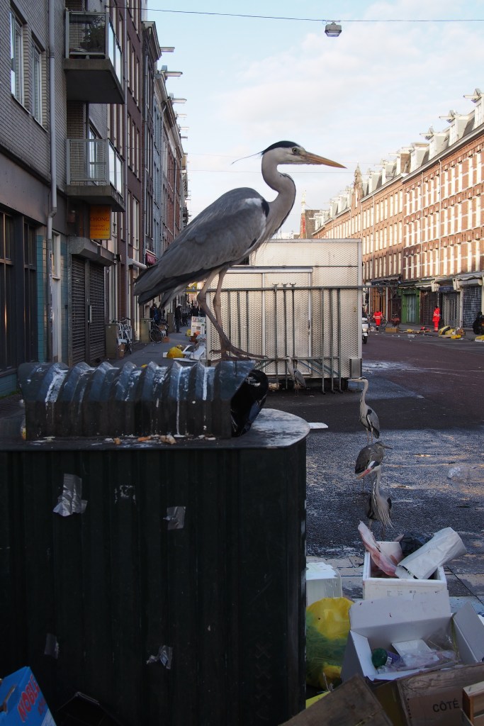 Birds have to eat too...