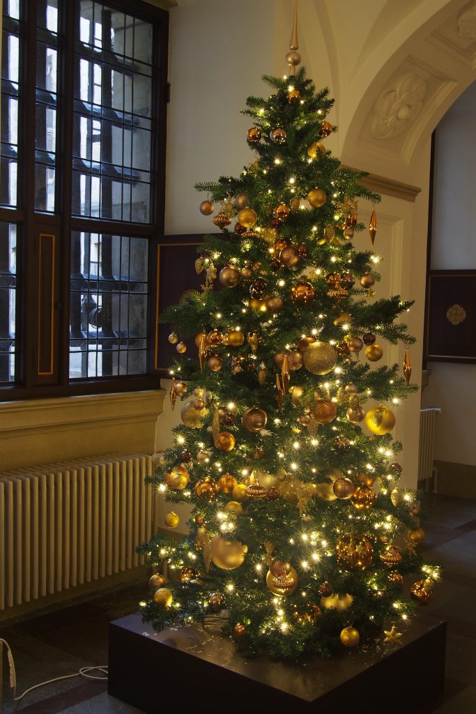 Shiny, very shiny indeed...